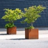 CARREZ vierkante cortenstaal plantenbak 120x120x60 met wielen